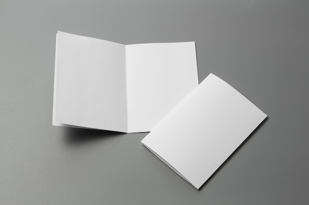 Blank portrait A4. brochure magazine isolated on gray