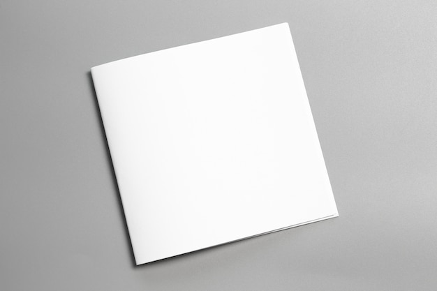 Photo blank portrait mock-up paper. brochure magazine isolated on gray, changeable background