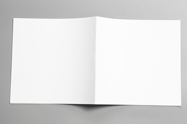 Photo blank portrait mock-up paper. brochure magazine isolated on gray, changeable background