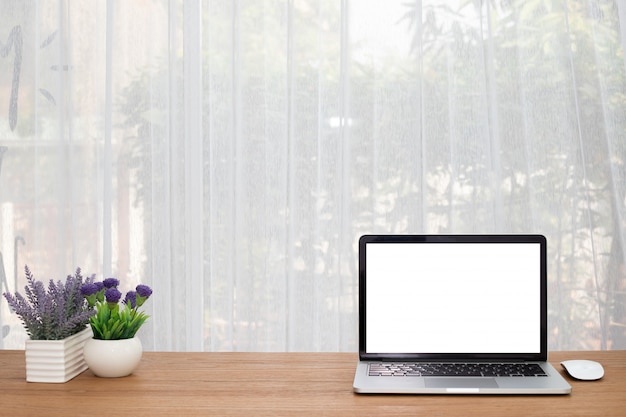 Blank screen on Laptop and flower pot.