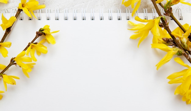 A blank sheet of notepad for notes. Spring yellow branches. Mock up for text banner format