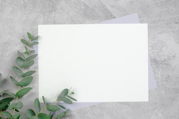 Photo blank sheet of paper on a concrete background with eucalyptus