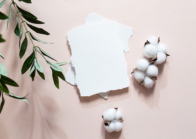 Foto foglio di carta bianco lunghe ombre di un ramo d'ulivo e fiori di cotone su una rosa