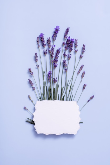 Blank sheet of paper for text with lavender flowers Spring message write copy space