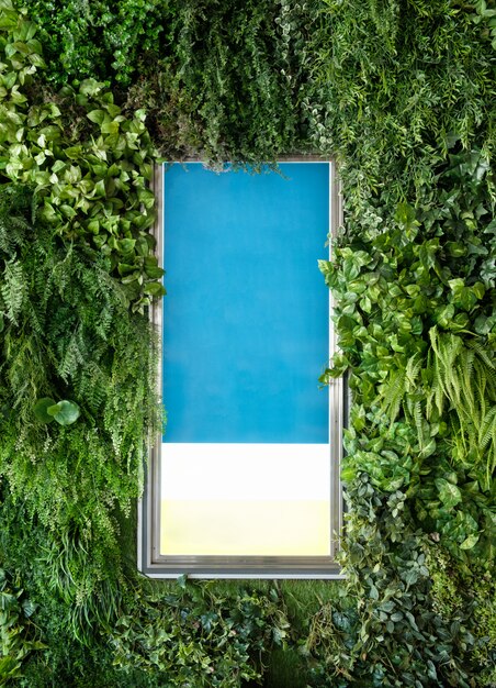 Blank signboard advertise with cover green foliage