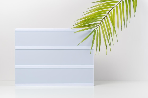 Blank text lightbox with palm leaf on white background