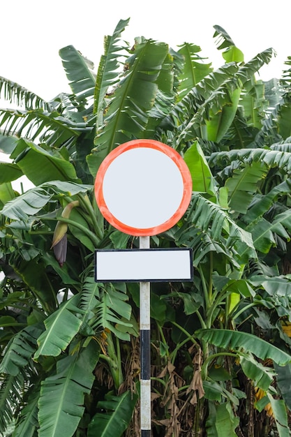 Blank track pointer or directional sign board in the village on
a banana garden