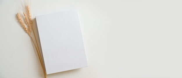 Foto copertina di libro bianco in bianco con erba secca e uno spazio vuoto su sfondo bianco