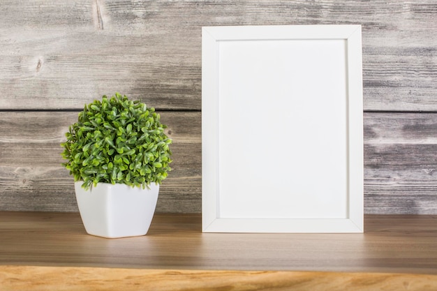 Blank white frame and plant