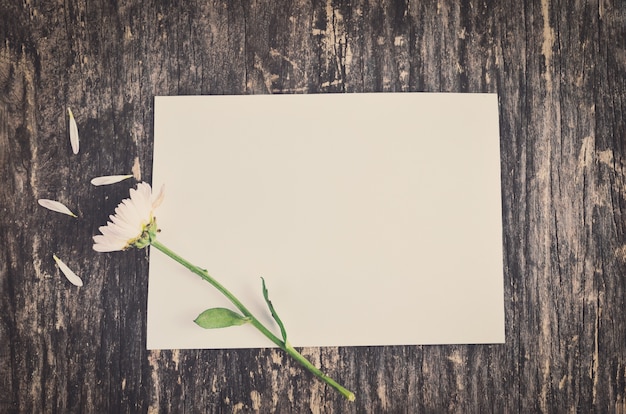 Blank white greeting card with Mum flowers