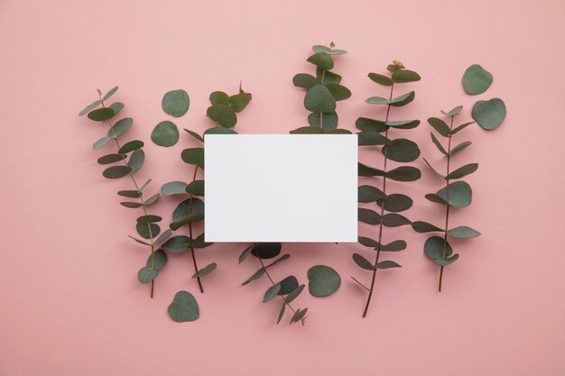 Blank white invitation stationery card with eucalyptus leaves