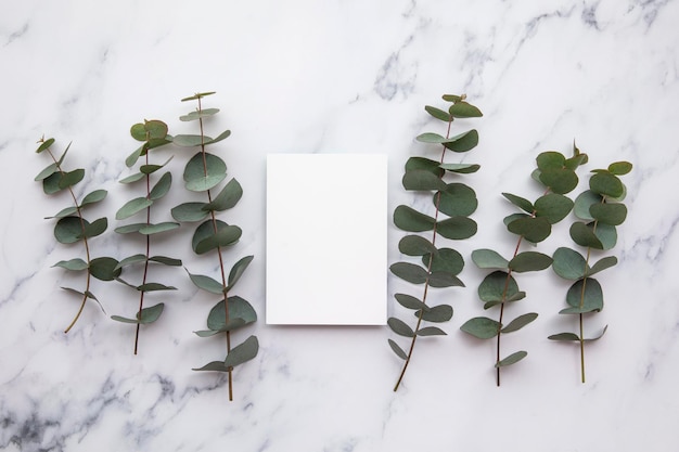 Photo blank white invitation stationery card with eucalyptus leaves