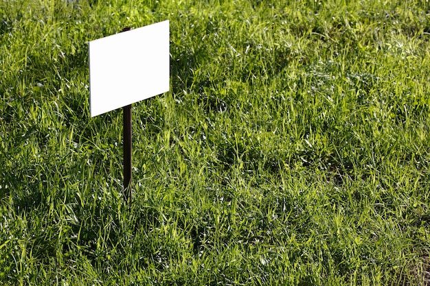 Blank white onelegged sign mockup on green lawn background closeup with selective focus