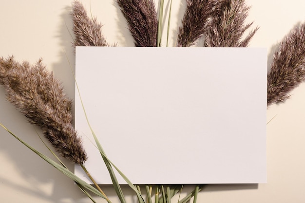 Carta bianca vuota a4 con erba di pampa su sfondo grigio granuloso foto vista dall'alto piatto laico mockup di decorazione di erba secca sulla scrivania concetto di tendenza elegante e minimale