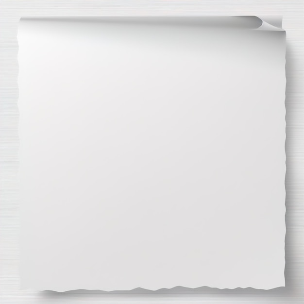 Blank white paper mockup