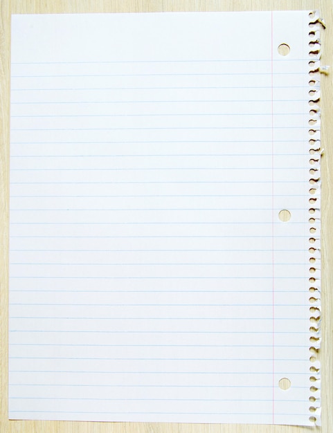 Blank white paper sheet with blue lines