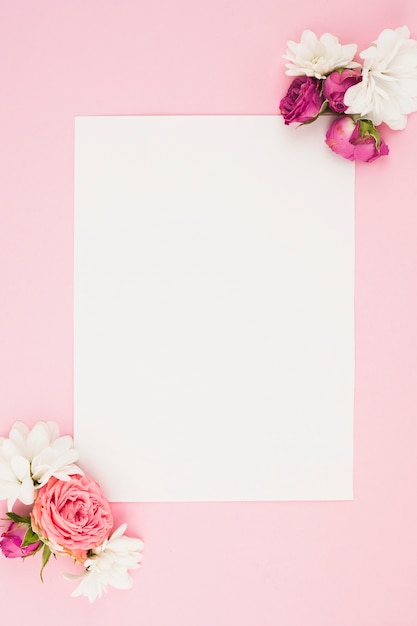 Blank white paper with fresh flowers against pink background