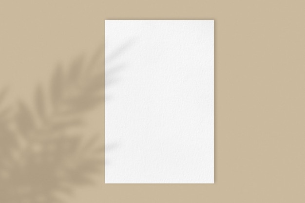 Photo blank white poster mockup on brown pastel background with flower shadow