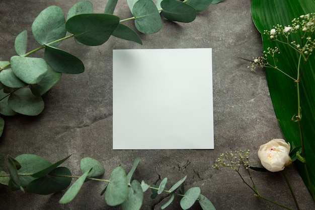 blank white sheet with place for text on gray background with plant leaves and eucalyptus sprigs