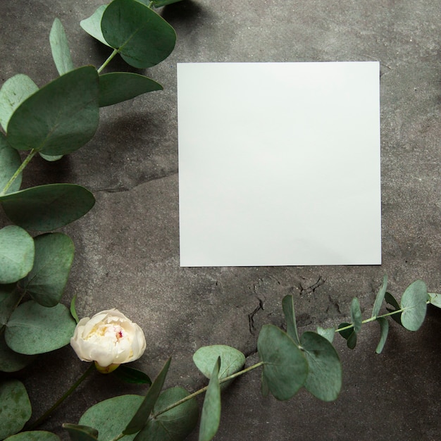 Photo blank white sheet with place for text on gray background with plant leaves and eucalyptus sprigs