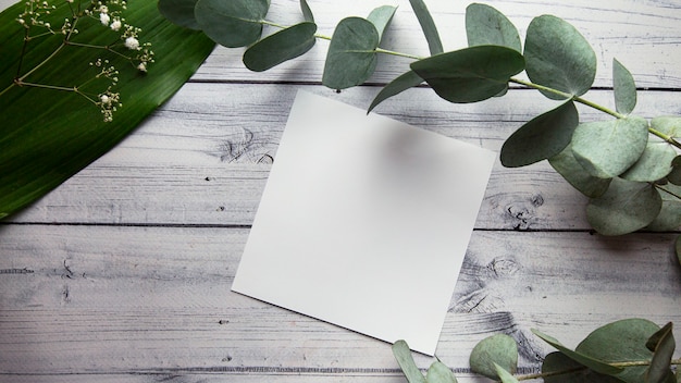 пустой белый лист с местом для текста на светлом фоне с листьями растений, цветами и эвкалиптом