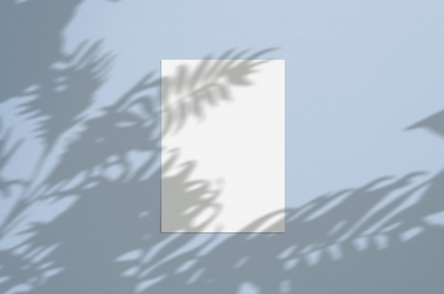Foglio di carta verticale bianco bianco 5x7 pollici con sovrapposizione di ombra della palma. cartolina d'auguri moderna ed elegante o invito a nozze mock up.