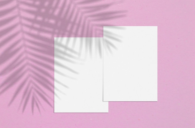 Blank white vertical paper sheet with palm shadow overlay