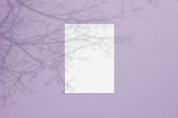 Photo blank white vertical paper sheet with tree shadow overlay