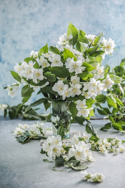 Blank with  bouquet of jasmine flowers on a blue background Spring flowers