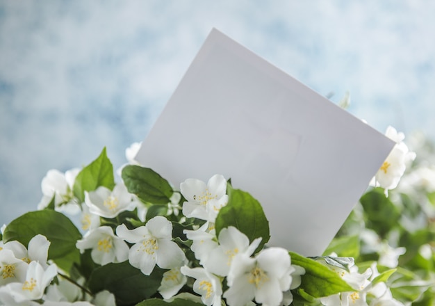 Vuoto con bouquet di fiori di gelsomino su sfondo blu fiori primaverili