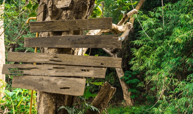 Blank wooden signage on the tree