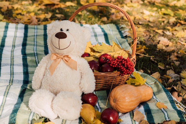 On the blanket in the cage lies a teddy bear and autumn fruits