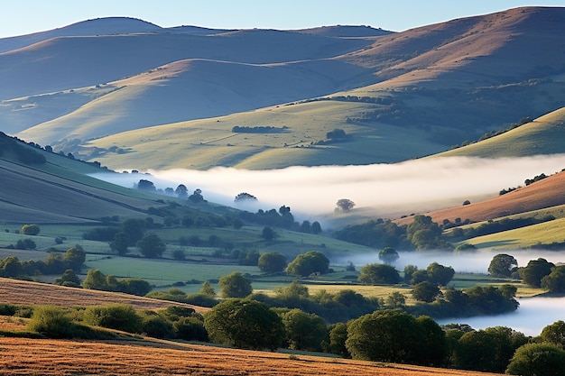 A blanket of fog under a clear sunrise sky