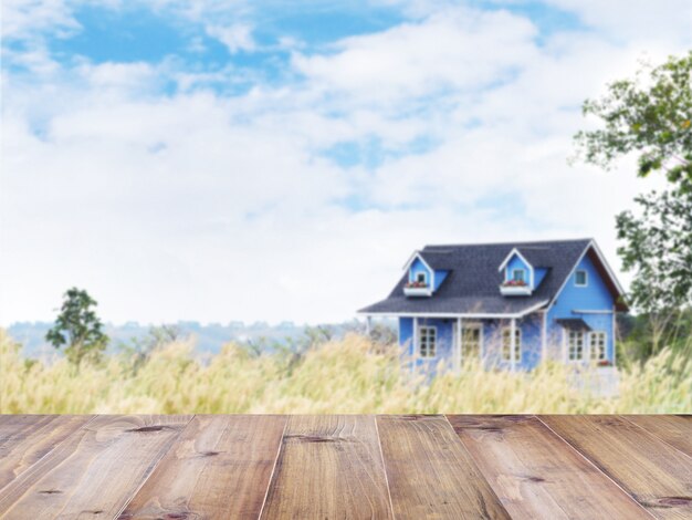 Blauw de zomerruiterhuis op het wilde grasgebied