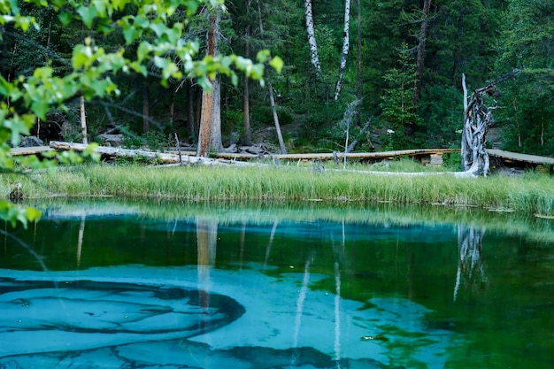 Blauw geisermeer in Altai-gebergte Altai Siberië Rusland