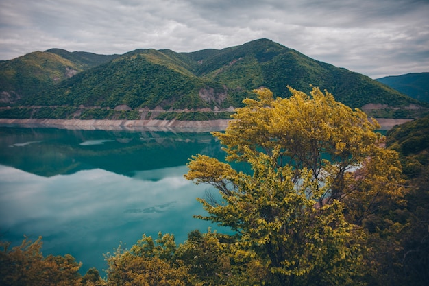 Blauw meer en gele struik in bergen