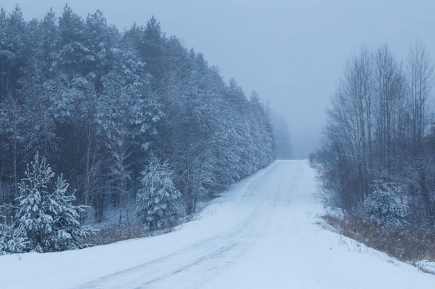 Blauw mistig besneeuwd winterlandschap