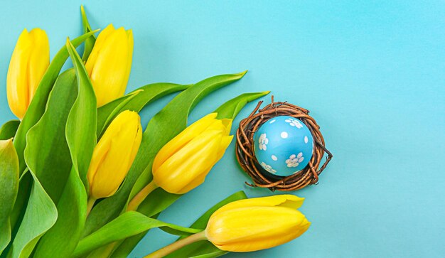 Foto blauw paasei in een nest met gele tulpen op blauwe achtergrond