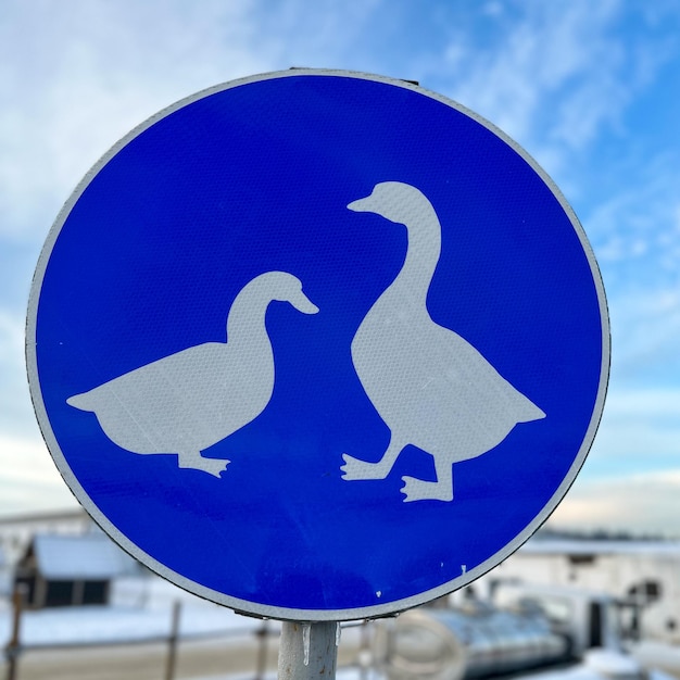 Blauw waarschuwingsbord met gans op de boerderij in de winter Verkeersbord Besneeuwde beboste heuvel op de achtergrond