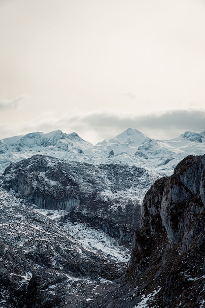 Blauwachtige besneeuwde berg