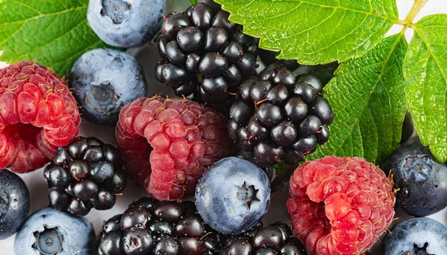 Blauwe bessen zwarte bessen frambozen en groene bladeren geïsoleerd op wit