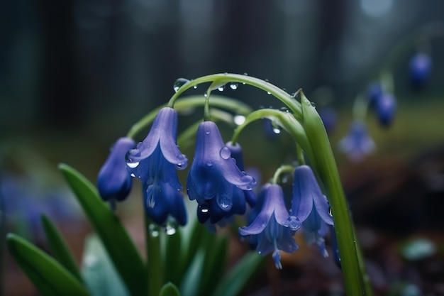 Blauwe bloemen in de regen