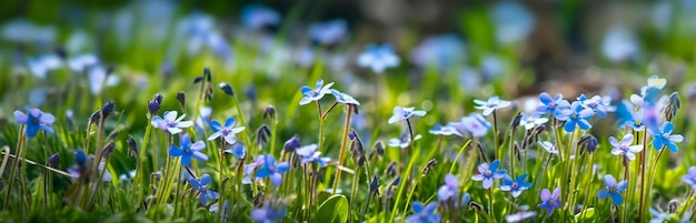 Blauwe bloemen in een zomer- of lenteveldbanner Generatieve AI