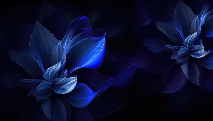 Foto blauwe bloemen op zwarte achtergrond screensaver