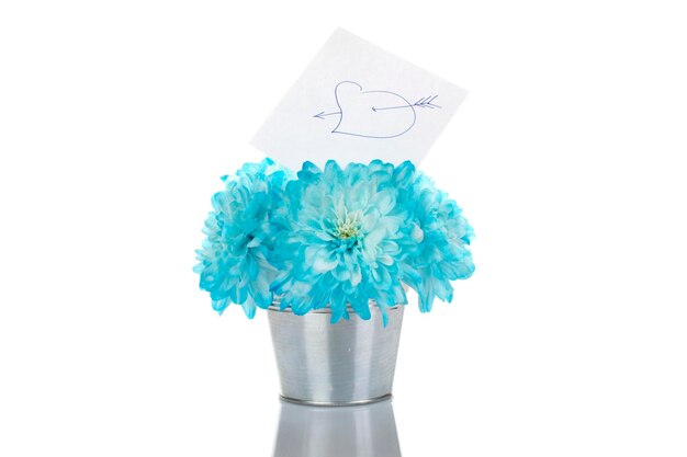 Blauwe chrysanten in een emmer