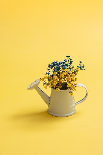 Blauwe en gele bloemen van gipskruid in een gieter op een gele achtergrond Oekraïense symbolische kleuren verticale foto