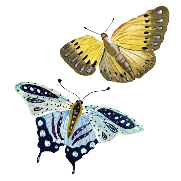 Blauwe en gele vlinder. Een aquarel hand getekende illustratie. Geïsoleerd op een witte achtergrond.