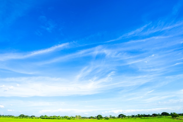 Blauwe hemel achtergrondtextuur met witte wolken.