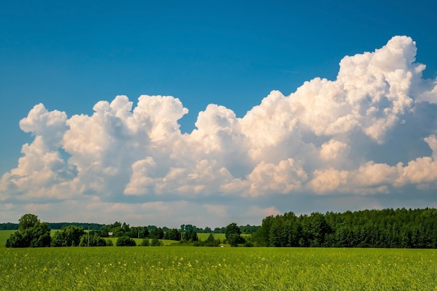 Blauwe hemelachtergrond met grote wit gestreepte wolken in het blauwe luchtpanorama van het veld kan worden gebruikt voor vervanging van de lucht
