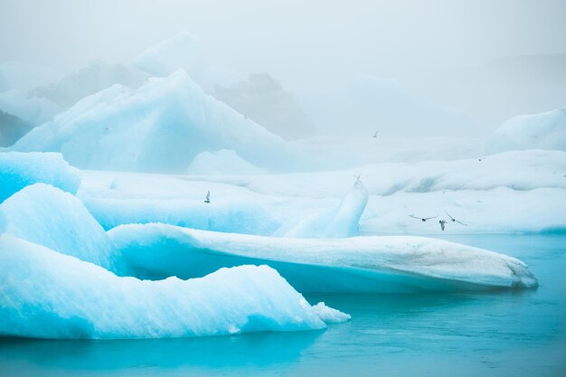 Blauwe ijsbergen in de gletsjerlagune Jokulsarlon, zuidelijk IJsland